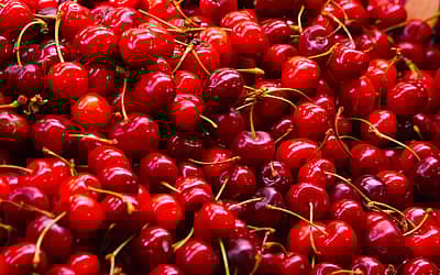 National Cherry Popover Day