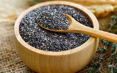 National Chia Day