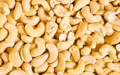 National Chocolate Covered Cashews Day
