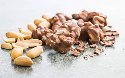 National Chocolate Covered Nut Day