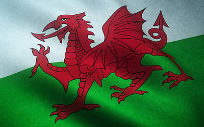 St. David’s Day