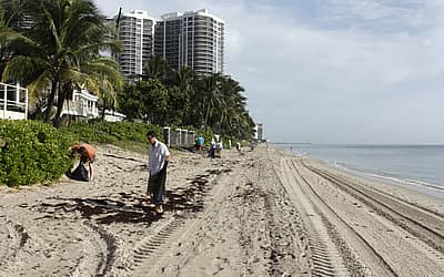 International Coastal Cleanup Day