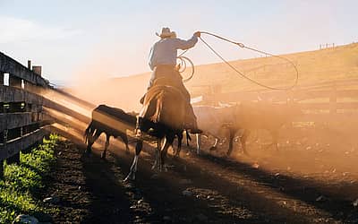 National Day of the Cowboy