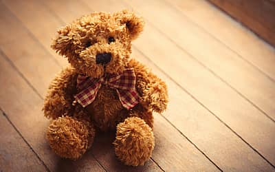National American Teddy Bear Day
