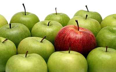 International Eat An Apple Day