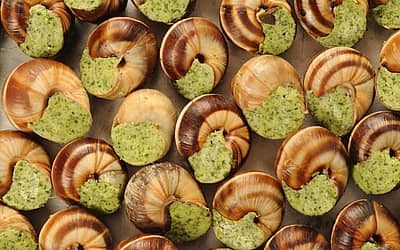 National Escargot Day