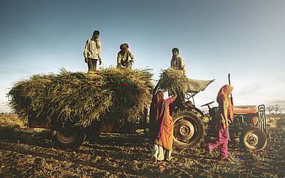 National Farm Workers Day