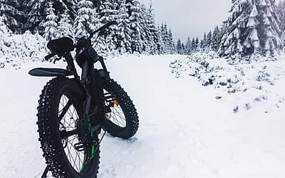 Global Fat Bike Day