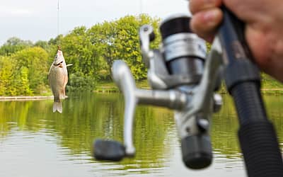 National Fishing Month