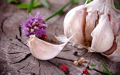 National Garlic Day