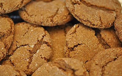 National Gingersnap Day