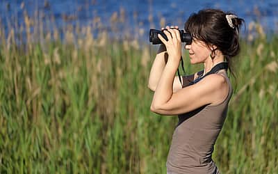 National Go Birding Day