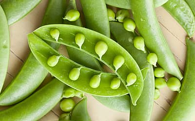 Great British Pea Week