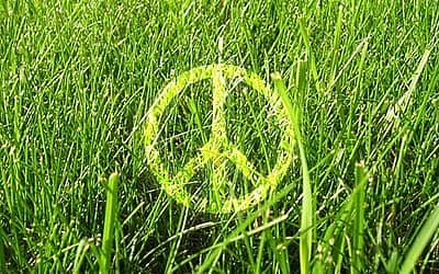 Greenpeace Day