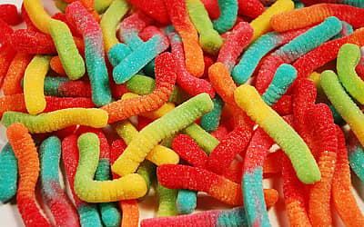 National Gummi Worm Day