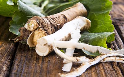 National Horseradish Month