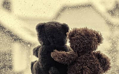 National Hug A Bear Day