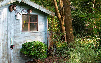 Hug A Shed And Take A Selfie Day