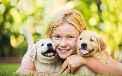 National Hug Your Hound Day