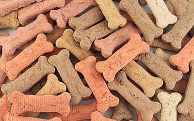 International Dog Biscuit Appreciation Day