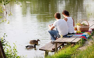International Picnic Day