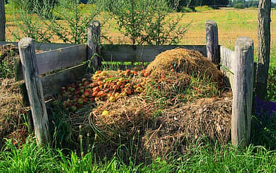 Learn About Composting Day