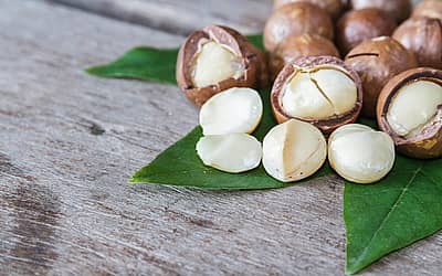 National Macadamia Nut Day