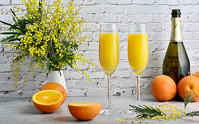 National Mimosa Day