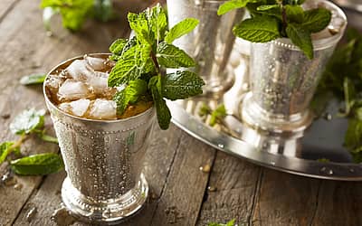 National Mint Julep Day