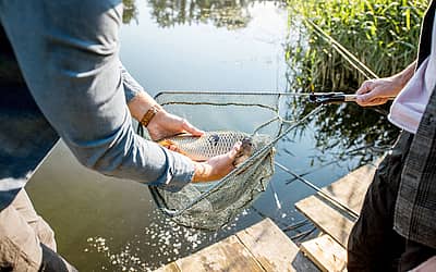 National Catch and Release Day