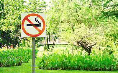 National No Smoking Day