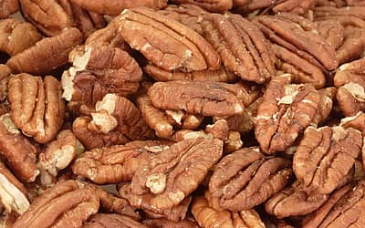 Pecan Day