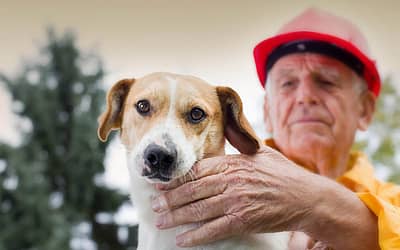 National Pet Fire Safety Day