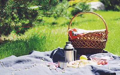 National Picnic Day