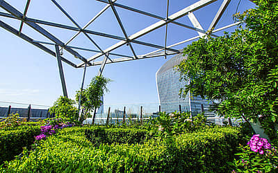 World Green Roof Day
