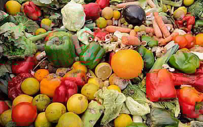 Stop Food Waste Day