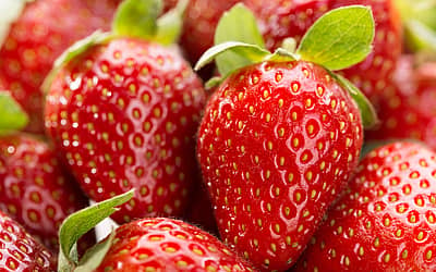 National Strawberry Day