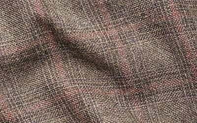 National Tweed Day