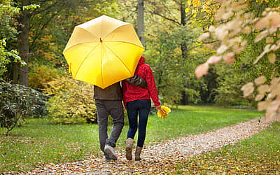 National Umbrella Day