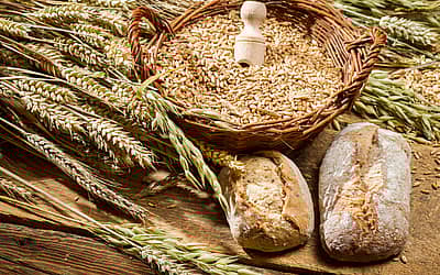 Whole Grains Month