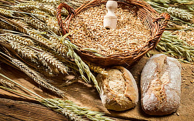 Whole Grains Month