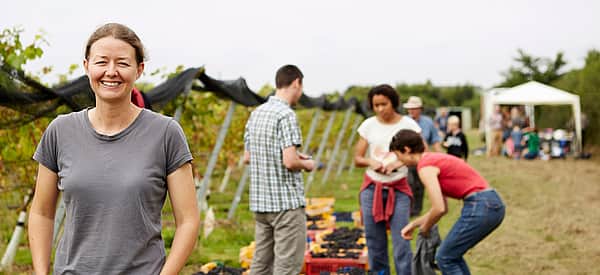 Cow Appreciation Day (July 9th, 2024) Days Of The Year