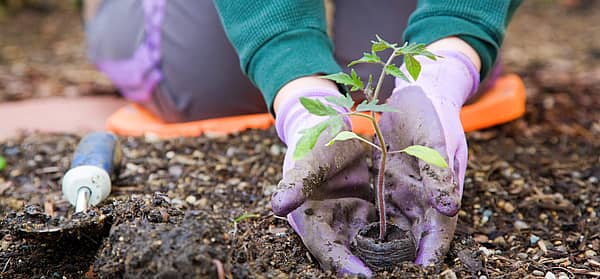 National Garden Month (April 2023) Days Of The Year