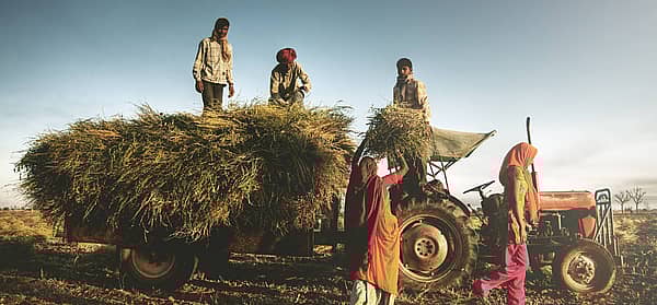 National Farm Workers Day (June 13th, 2024) Days Of The Year
