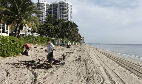 International Coastal Cleanup Day