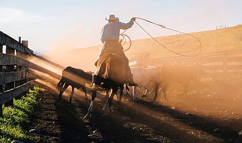 National Day of the Cowboy