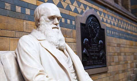 Darwin Day