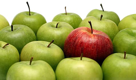International Eat An Apple Day