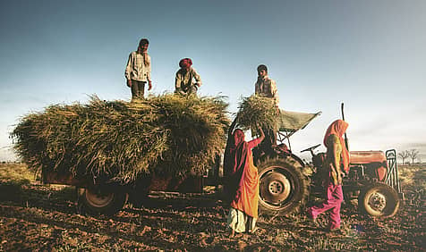 National Farm Workers Day