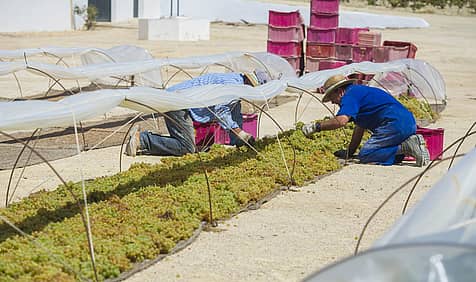 Farmworker Appreciation Day